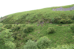 
Hills Tramroad to Garnddyrys, June 2009